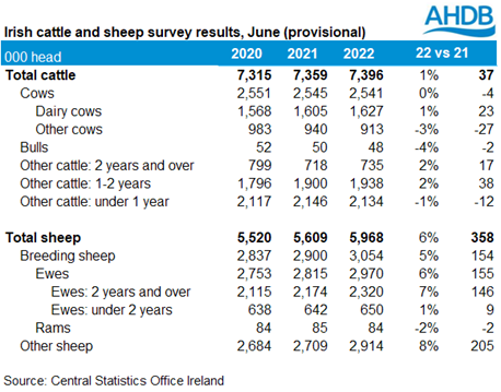 Table showing breakdown of the Irish June 2022 livestock census results